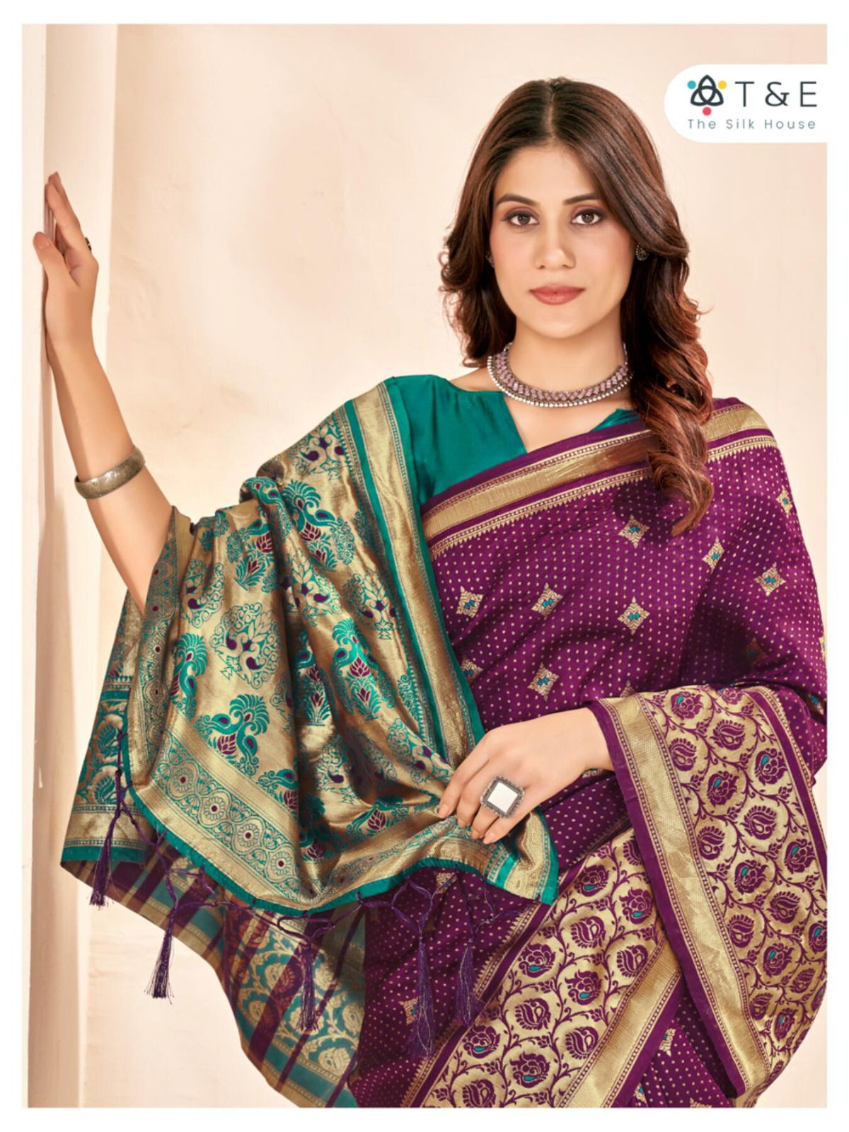 Aaradhya By T And E Party Wear Sarees Catalog